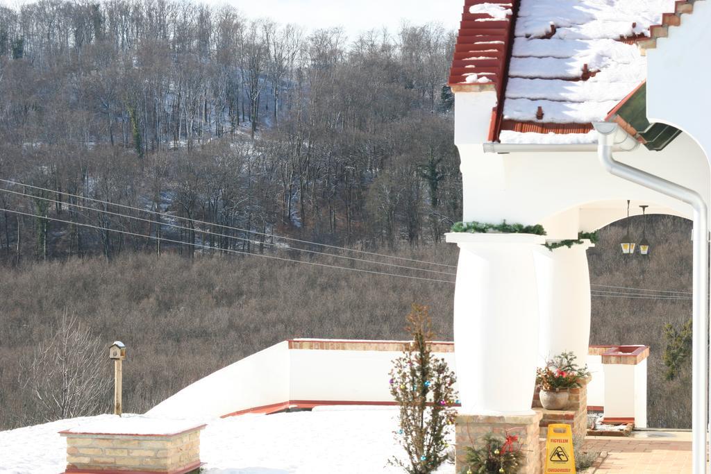 Palos Resort Zalacsany Bagian luar foto