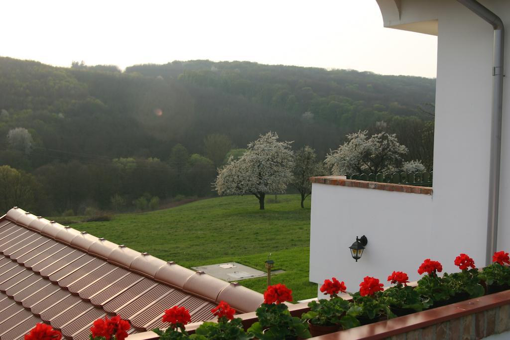 Palos Resort Zalacsany Bagian luar foto