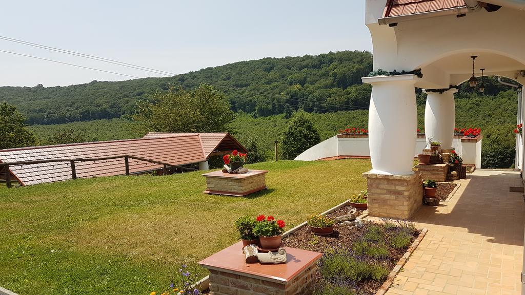 Palos Resort Zalacsany Bagian luar foto